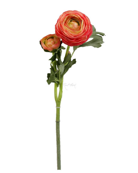 Ранункулюс Клуни - Розовый