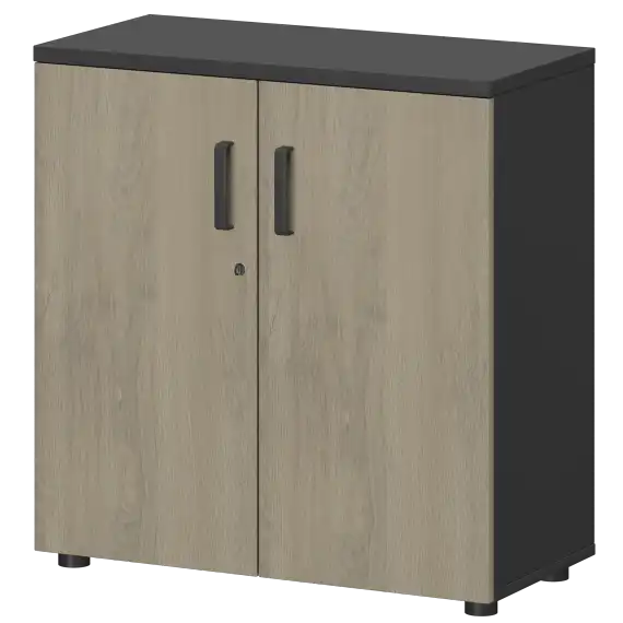 Шкаф СМШ-28Д Тип1  792x380x836 Смарт