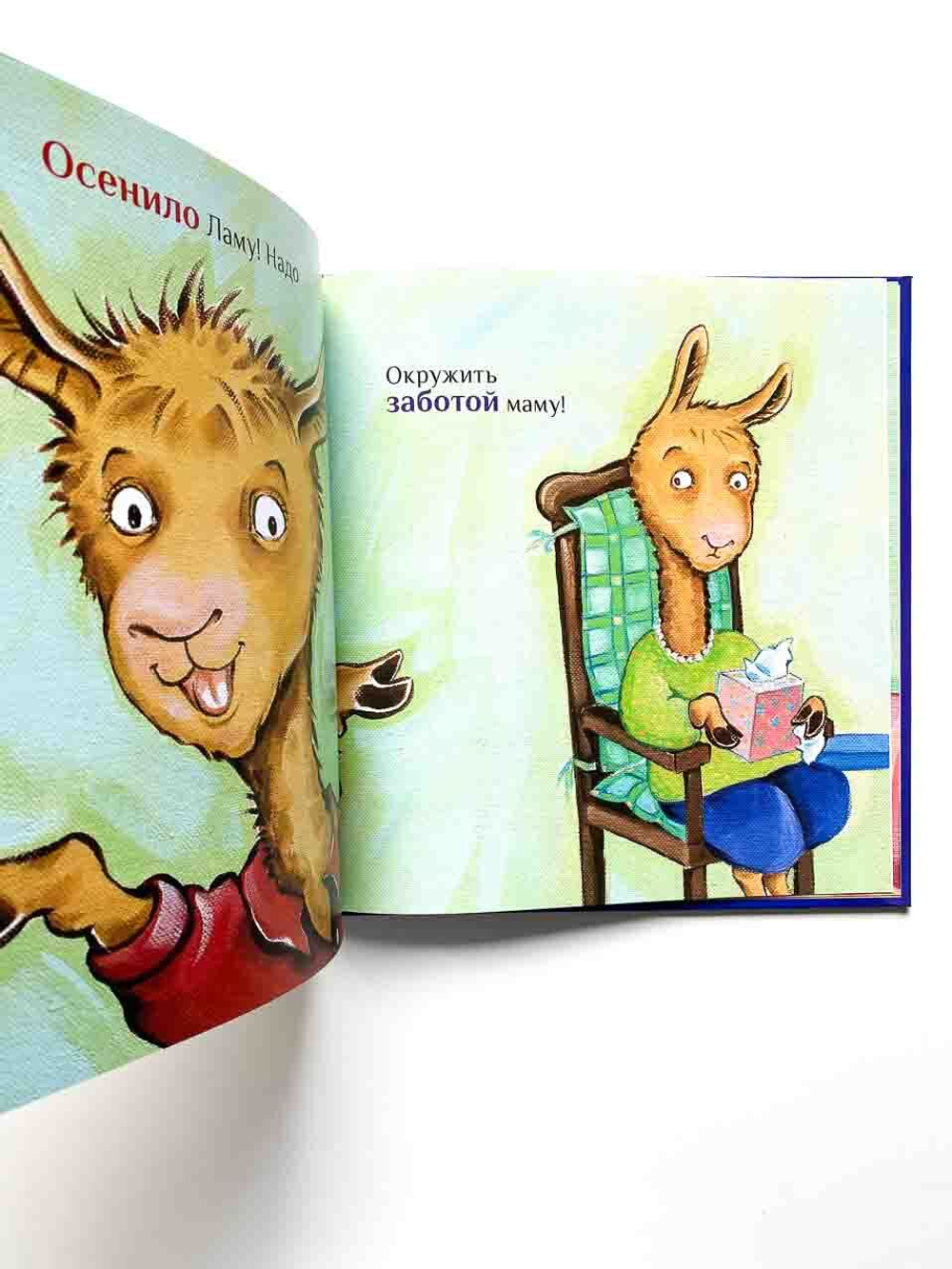 Лама сердится на маму