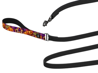 Поводок Pawmpkin