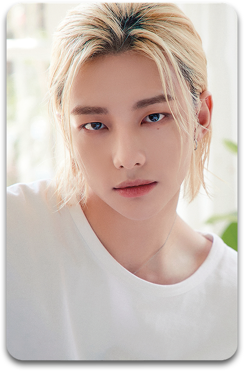 Карта / STRAY KIDS #3012