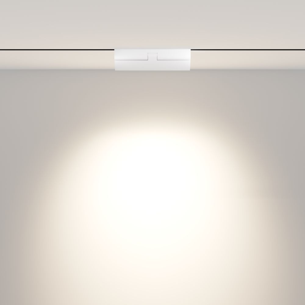 Трековый светодиодный светильник Maytoni Exility   TR033-2-12W4K-W