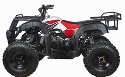 Квадроцикл YACOTA SELA 200