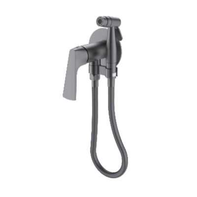 Гигиенический душ со смесителем встраиваемый Raglo R07.52.09, графит