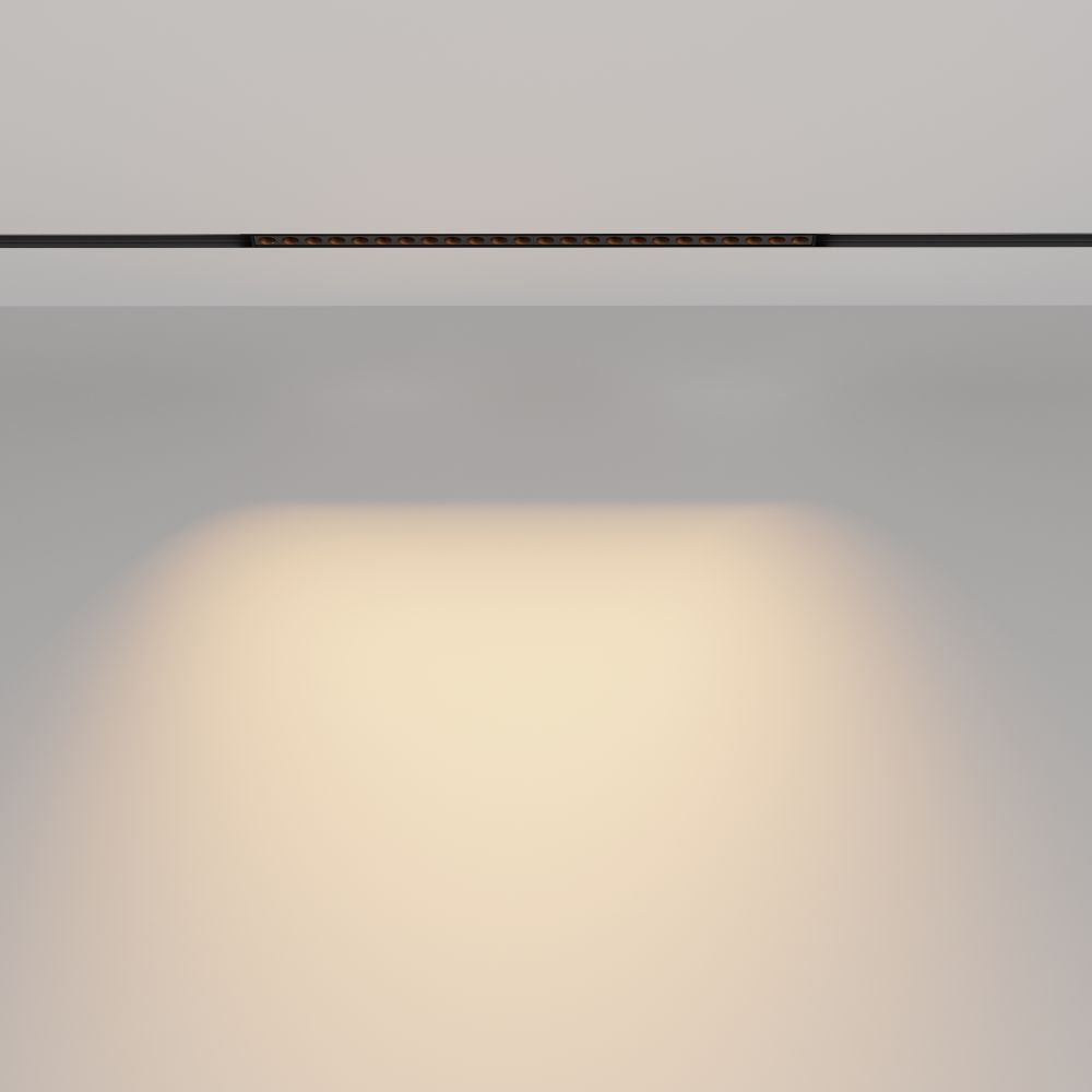 Трековый магнитный светодиодный светильник Maytoni   TR031-2-24W2.7K-B