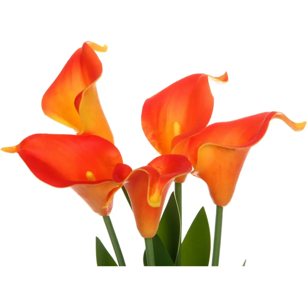 Цветочная композиция «Весенняя рапсодия» 15*30смКаллы оранжевые