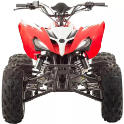 Квадроцикл Motoland 250S