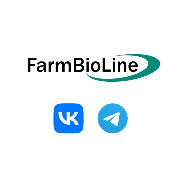 Начинаем историю в соцсетях