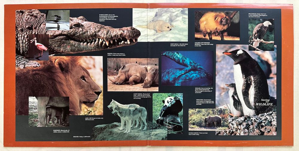 Mannheim Steamroller ‎– Saving The Wildlife (США 1986г.)