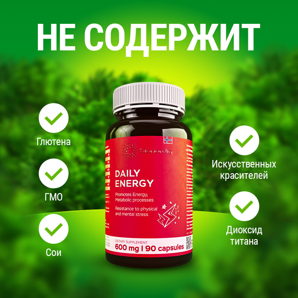 Витамины группы В, Vitamin B янтарная кислота, L-карнитин и пробиотики. Комплекс для энергии и метаболизма DAILY ENERGY