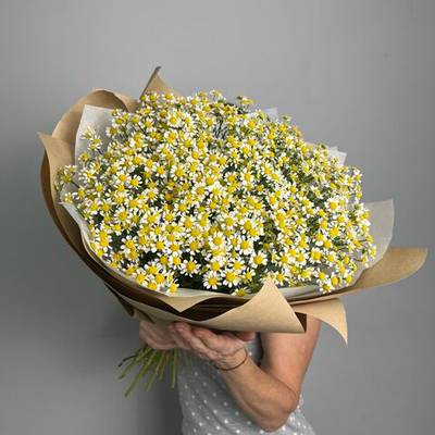 Букет из ромашек - 21 штука с фисташкой