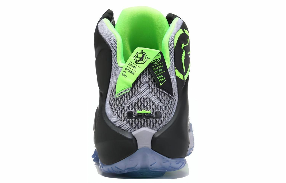 Кроссовки Nike Lebron 12 Dunk Force 12