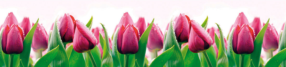 Кухонный фартук Тюльпаны 2000х600 мм