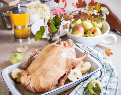 Гусь домашний