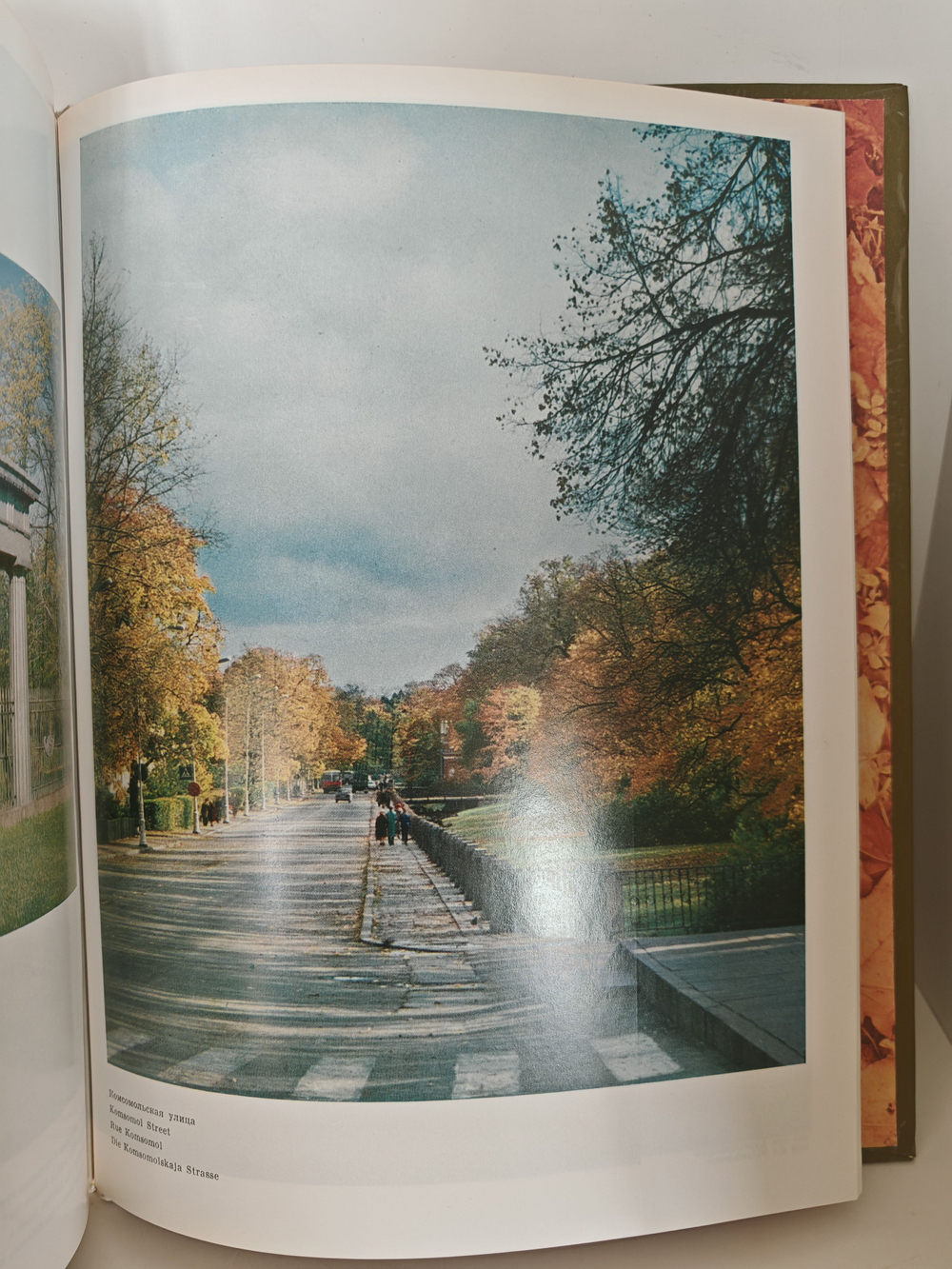 Пушкин: дворцы и парки