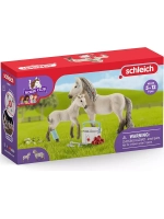 Набор Ханны для медицинской помощи Schleich 42430