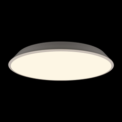 10226 White Потолочный светильник LOFT IT Brim