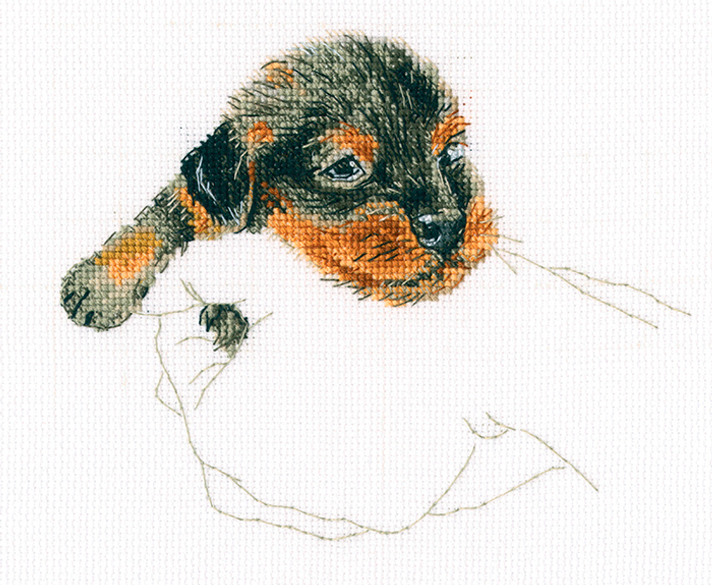 Коллекция:	Животный мир¶Название по-английски:	Warmth in palms¶Название по-русски:	Тепло в ладонях¶Р