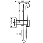 Гигиенический душ со смесителем Hansgrohe Bidette 29233670 черный матовый