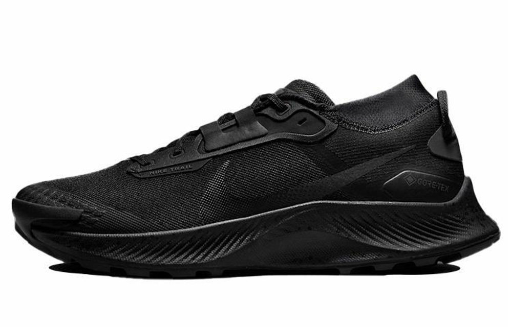 Кроссовки Nike Pegasus Trail 3 Gore-Tex "Black"