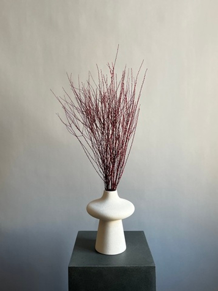 Вереск красный