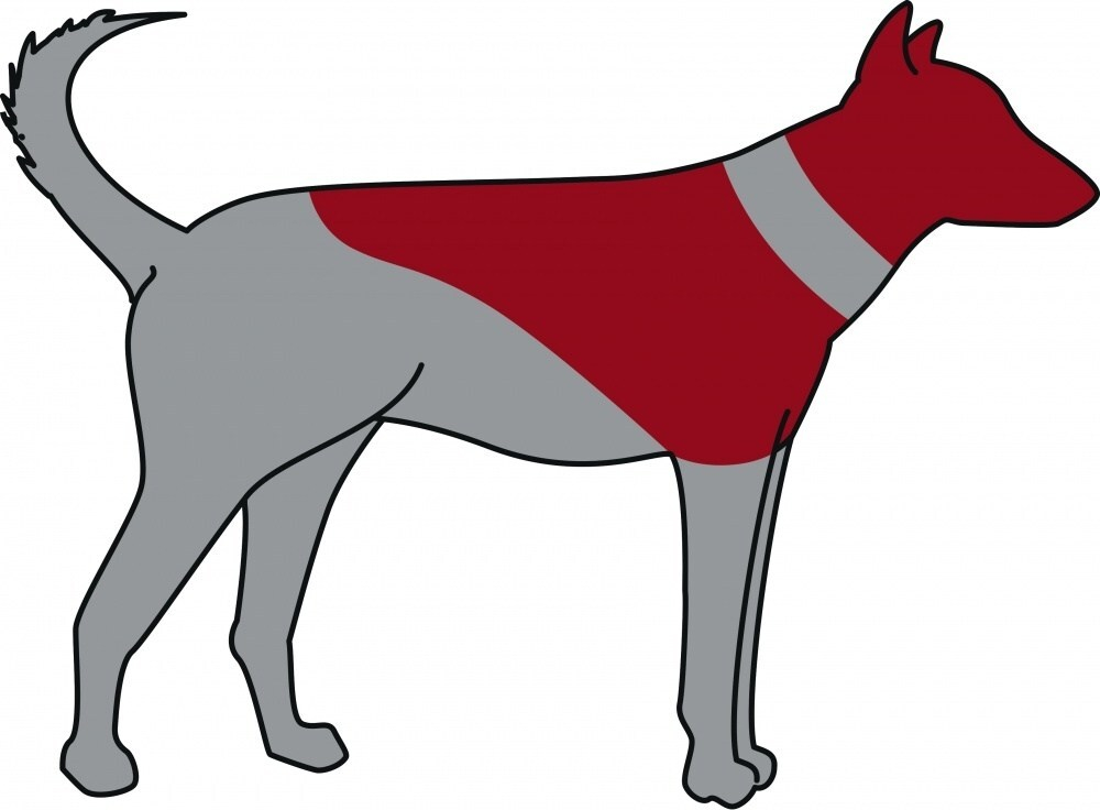 Защитный надувной воротник, XXS (14-18 см), синий, Trixie