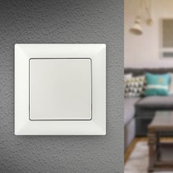 Выключатель Intro Solo 4-101-06 одноклавишный 10А-250В, IP20, СУ, перламутр