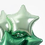 Шар (19''/48 см) Звезда, Шалфей, Бохо, 1 шт.