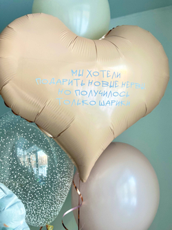 Воздушные гелиевые шарики с доставкой по Хабаровску Кошечка/Басик Ли-Ли №4499