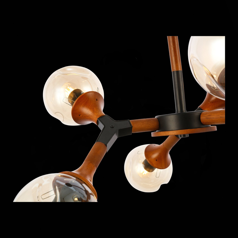 Светильник потолочный Evoluce Raquel SLE109402-06