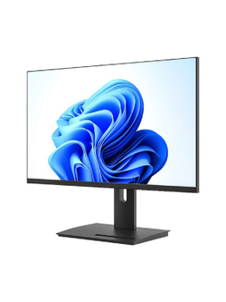 LCD Мониторус HS 2700 (HS2700-K-VHPI-AS100Q) {27",1920x1080,100Гц,IPS,16:9,5мс,VGA,HDMI,DP,1000:1,178/178, 250cd, Динамики, регулировка наклона, Внутренний, Реестр МПТ}