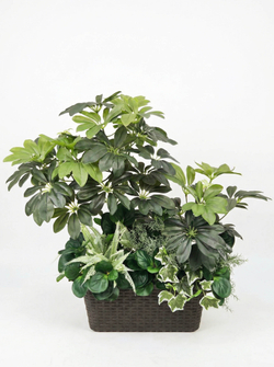 Искусственные растения латекс 65см в длинном кашпо