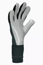 Вратарские перчатки T1TAN Petrol Beast 3.0