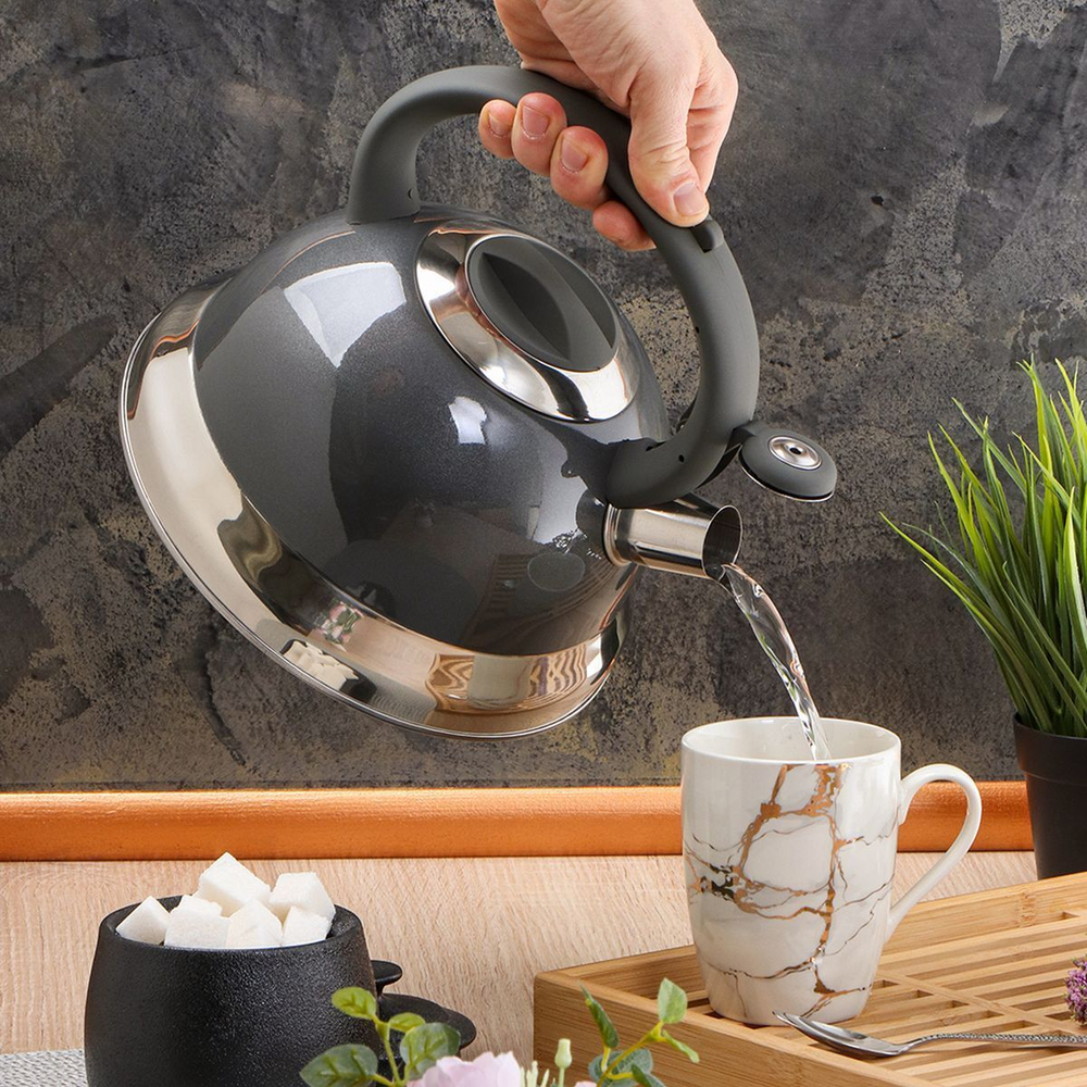 Чайник нерж, 3 л, свист, ручк с силик покр, Daniks, сер-голуб, M-015