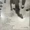 Fall Out Boy – So Much (For) Stardust (Coke Bottle Clear) LP