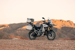 TRIUMPH  TIGER 1200 RALLY EXPLORER 2023