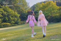 Альбом DIA - Flower 4 Seasons 6th Mini Album 2 Version SET