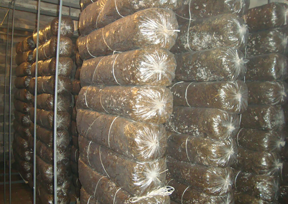Пакеты ПНД для выращивания грибов "Вешенки"