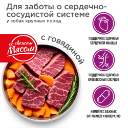Корм сухой для взрослых собак крупных пород, премиум полнорационный комплекс, для заботы сердечно-сосудистой системы, с говядиной, 12 кг, QUATTRO