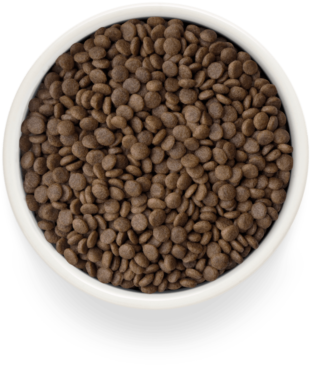 Grandorf Fresh Cat Potato корм сухой беззерновой для стерилизованных кошек ягнёнок,батат