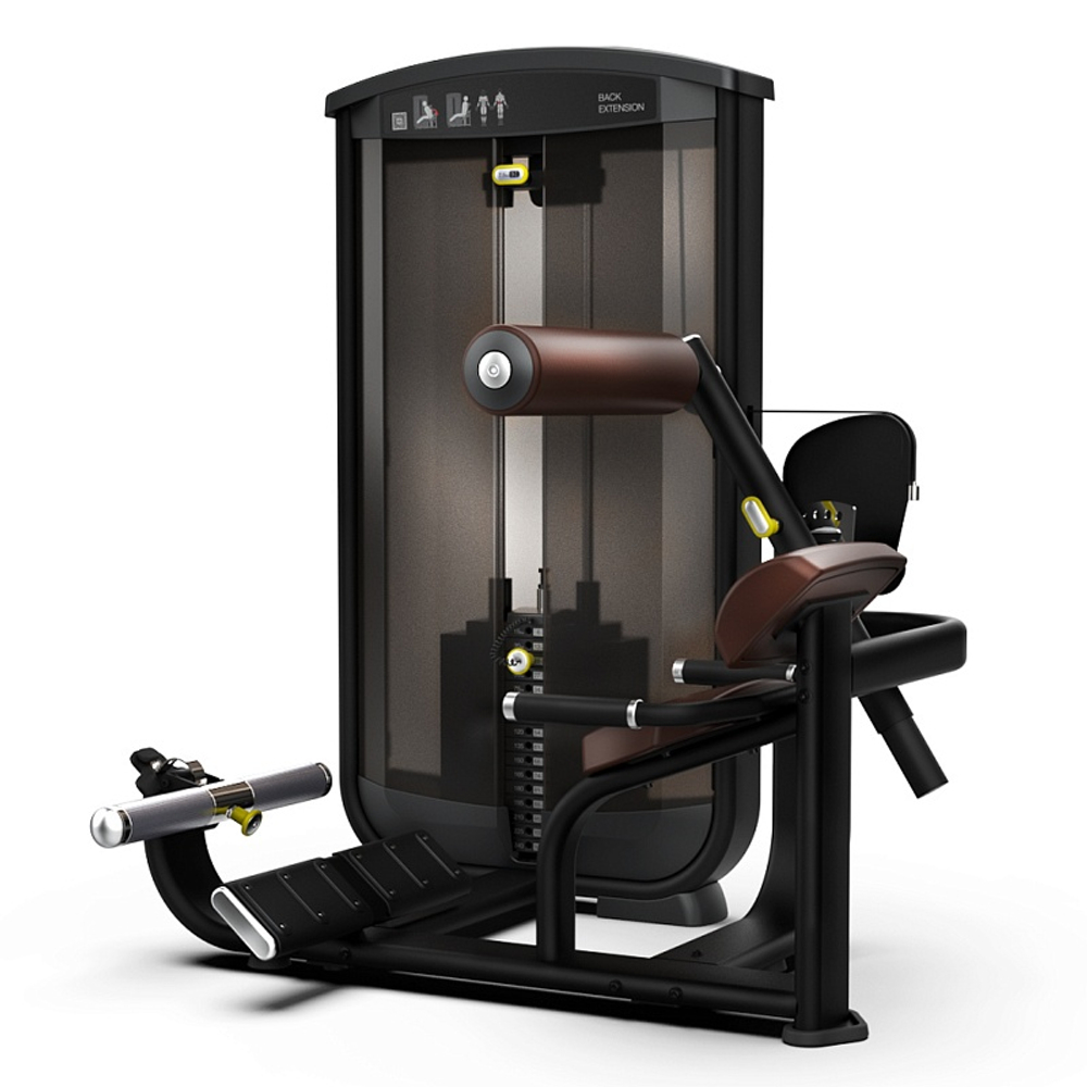 Разгибание спины INTENZA EASE EL-05