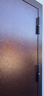 Дверь входная Леда