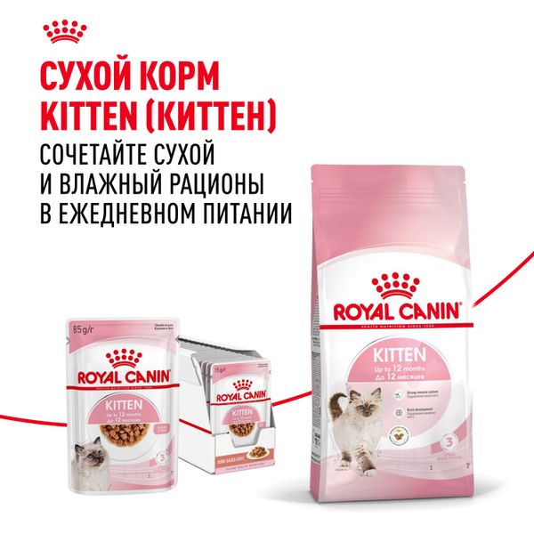 Пауч Royal Canin Kitten Gravy для котят в период второй фазы роста в возрасте до 12 месяцев, кусочки в соусе