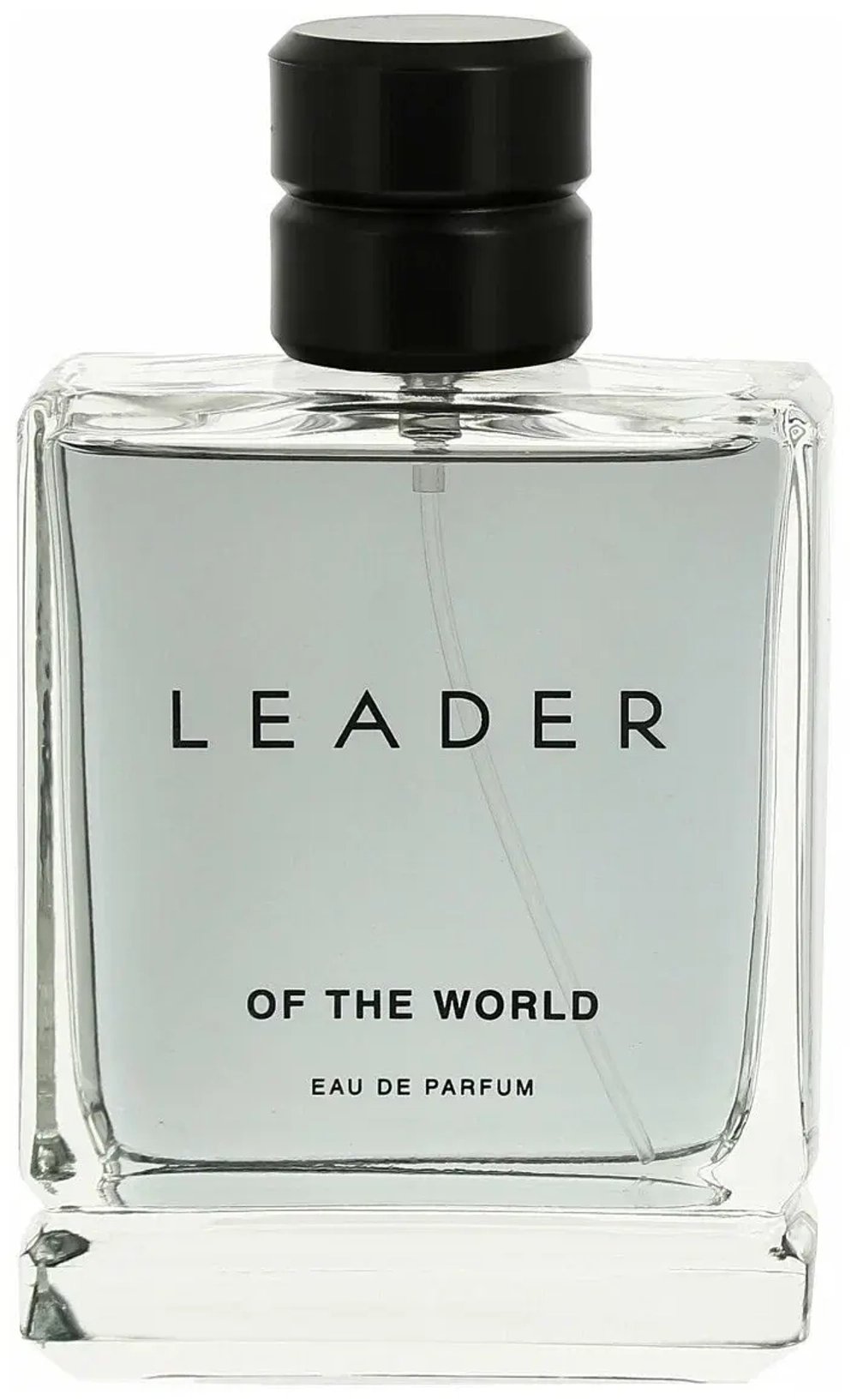 Парфюмерная вода для мужчин "LEADER OF THE WORLD" 100мл Россия