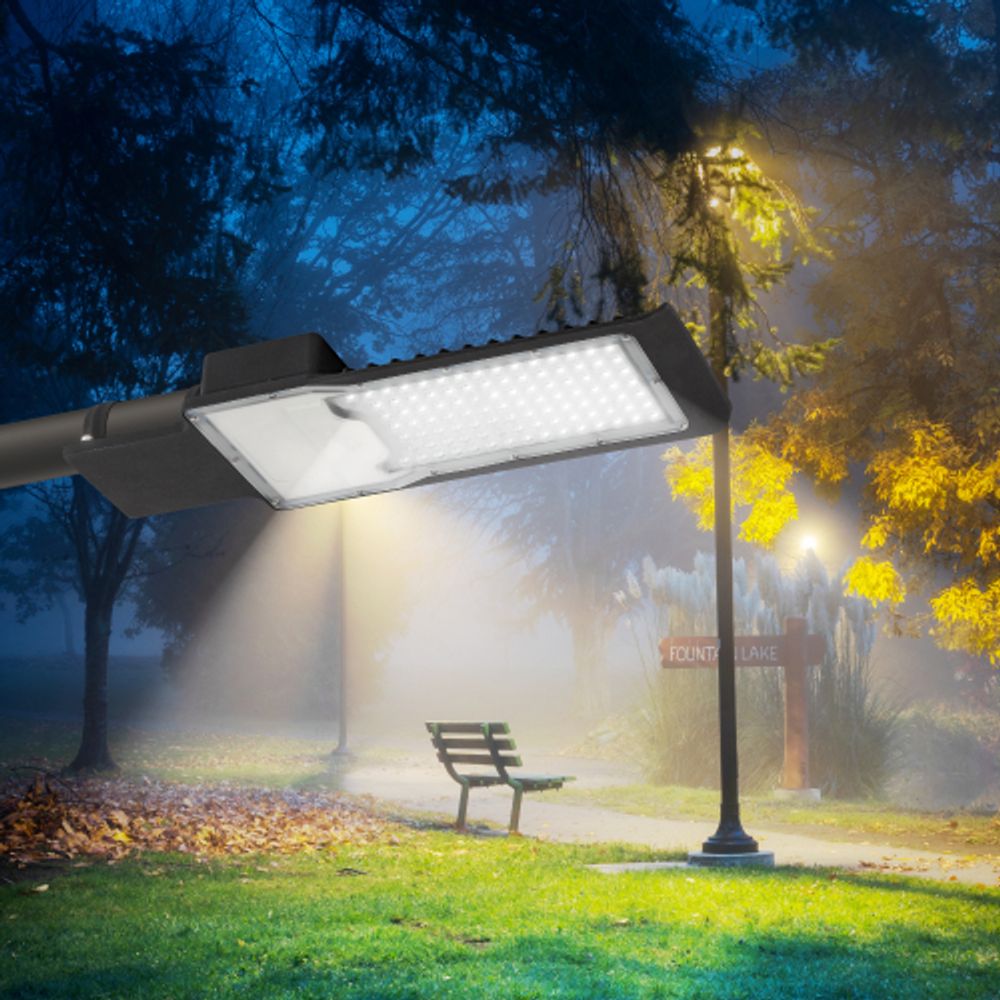 Уличный светильник ЭРА SPP-503-0-50K-100 100Вт 5000К 10000Лм IP65 КСС Ш 48мм | Уличные консольные светильники