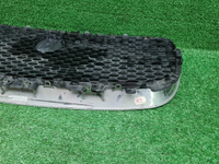 Решетка радиатора Jaguar F-PACE (2016-2020)