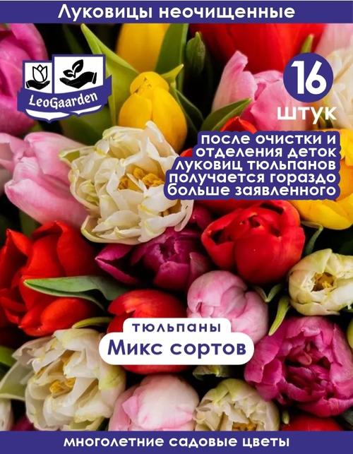 Тюльпан Луковицы неочищенные, Микс сортов, 16шт