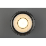 Потолочный светодиодный светильник Aployt Zhyuli APL.089.17.08