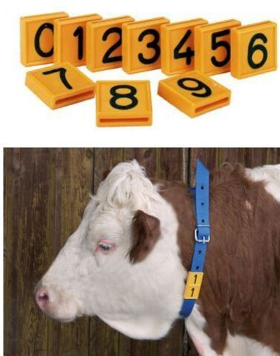 Номерной блок на шею для ремня цифра 1, 10 шт