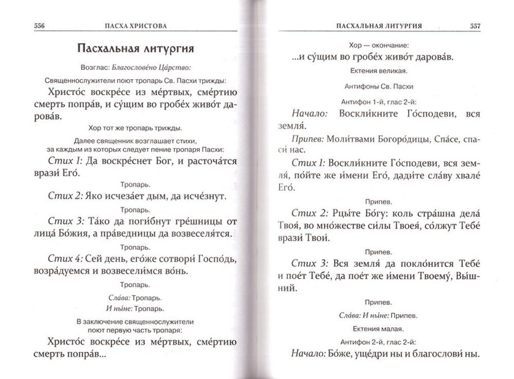 Богослужения двунадесятых праздников и Пасхи